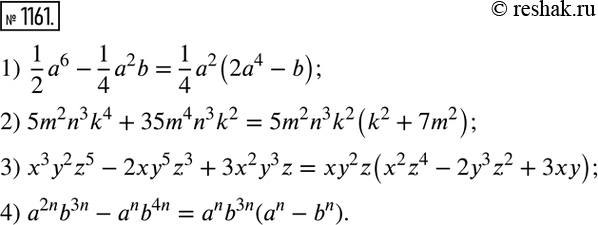Изображение 1161. Разложите на множители:1) 1/2*a6 - 1/4*a2b;2) 5m2n3k4 + 35m4n3k2;3) x2y2z2 - 2xy5z3 + 3x2y3z;4) а2nb3n - аnb4n, где n — натуральное...
