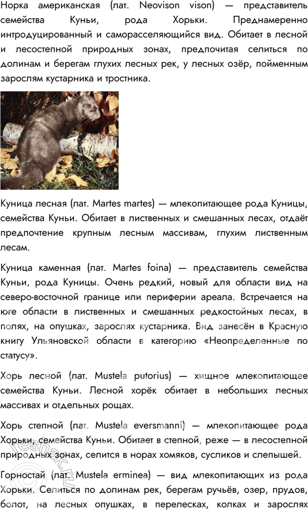 Дополнительное изображение