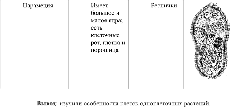 Дополнительное изображение