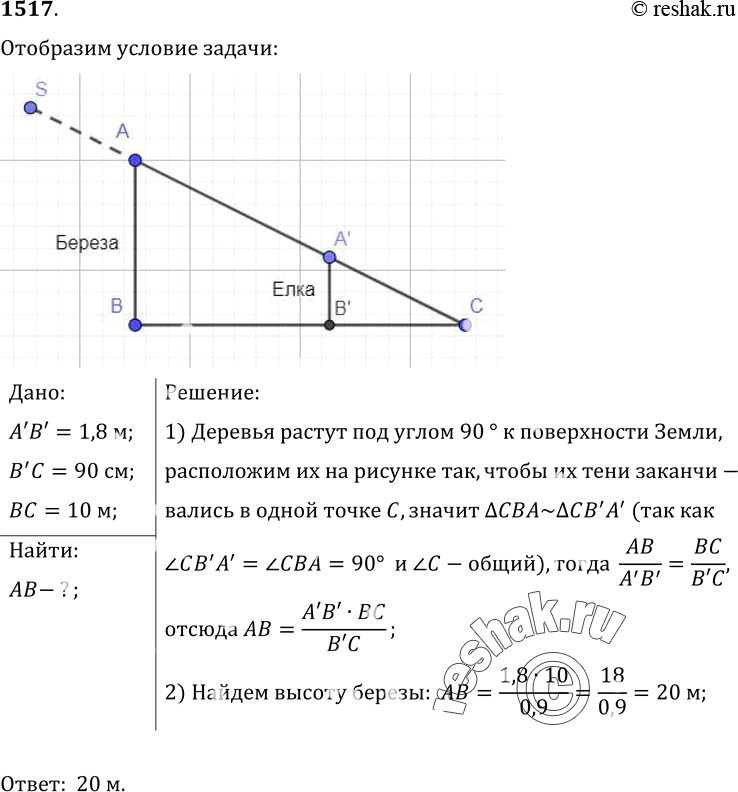 Изображение 1517.	В солнечный день длина тени на земле от елочки высотой 1, 8 м равна 90 см, а от березы — 10 м. Какова высота...