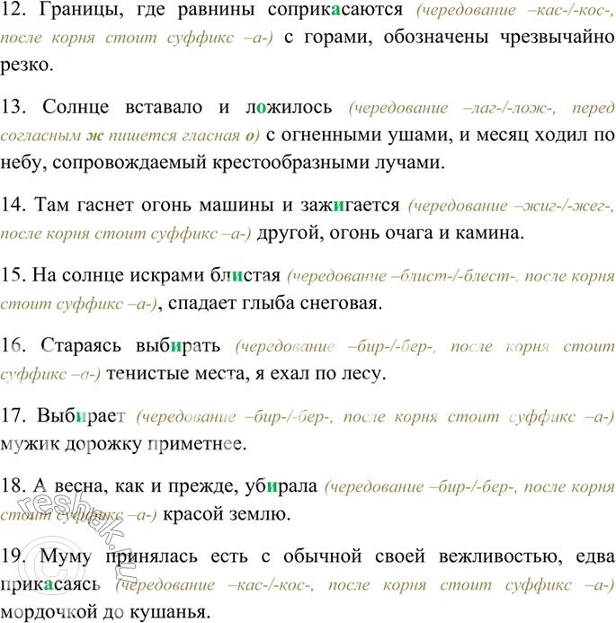 Дополнительное изображение