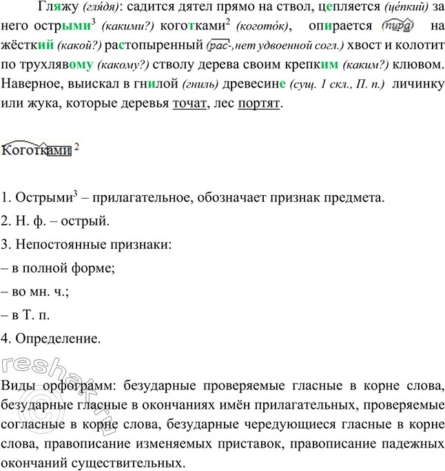 Изображение 	Напишите по рисункам продолжение спортивного репортажа.Воскресенье. Три часа дня. Все ребята из нашего дома собрались на спортивной площадке. Сейчас начнётся...