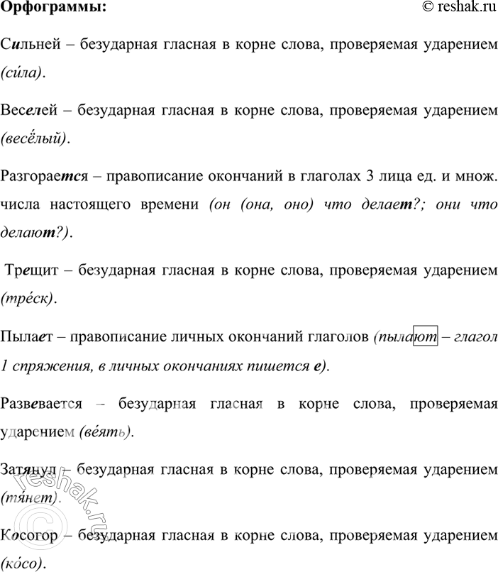 Дополнительное изображение