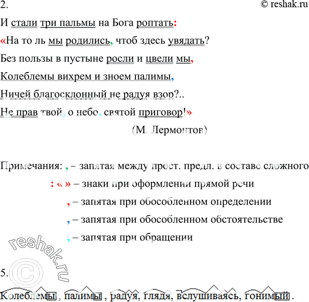 Дополнительное изображение