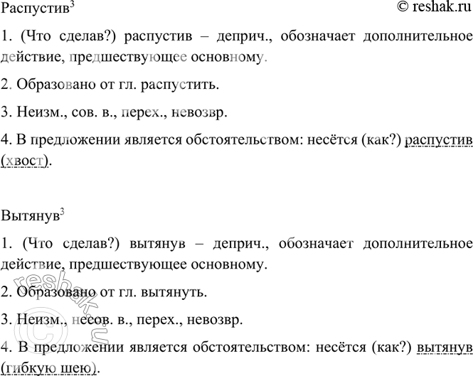 Дополнительное изображение