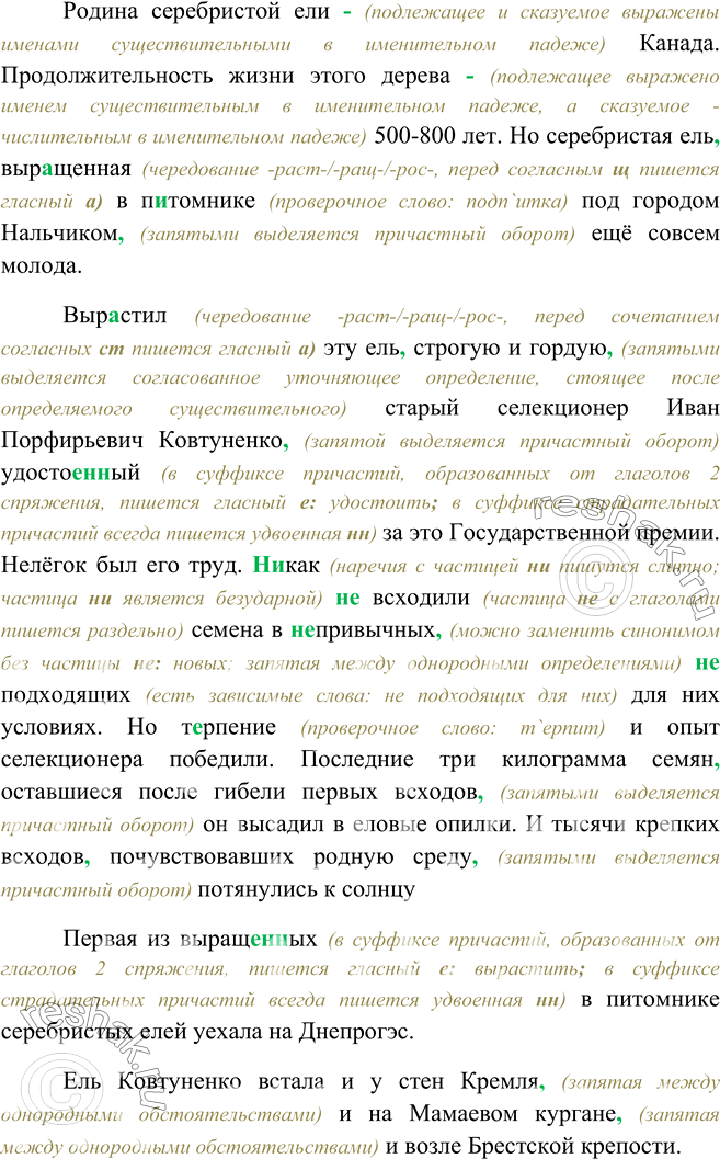 Изображение 375. Спишите, расставляя знаки препинания и вставляя пропущенные буквы. Объясните их постановку. Укажите средства связи предложений в 1-м абзаце.Родина серебристой ели...