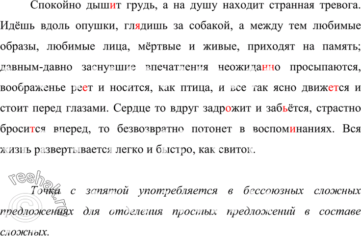 Дополнительное изображение